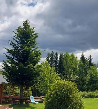 Ubytovani V Sumavskem Dome Nove Hute Zewnętrze zdjęcie