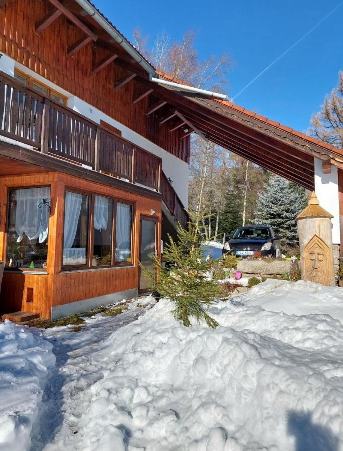 V Sumavskem Dome Apartment *