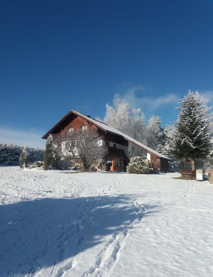 V Sumavskem Dome Apartmán *