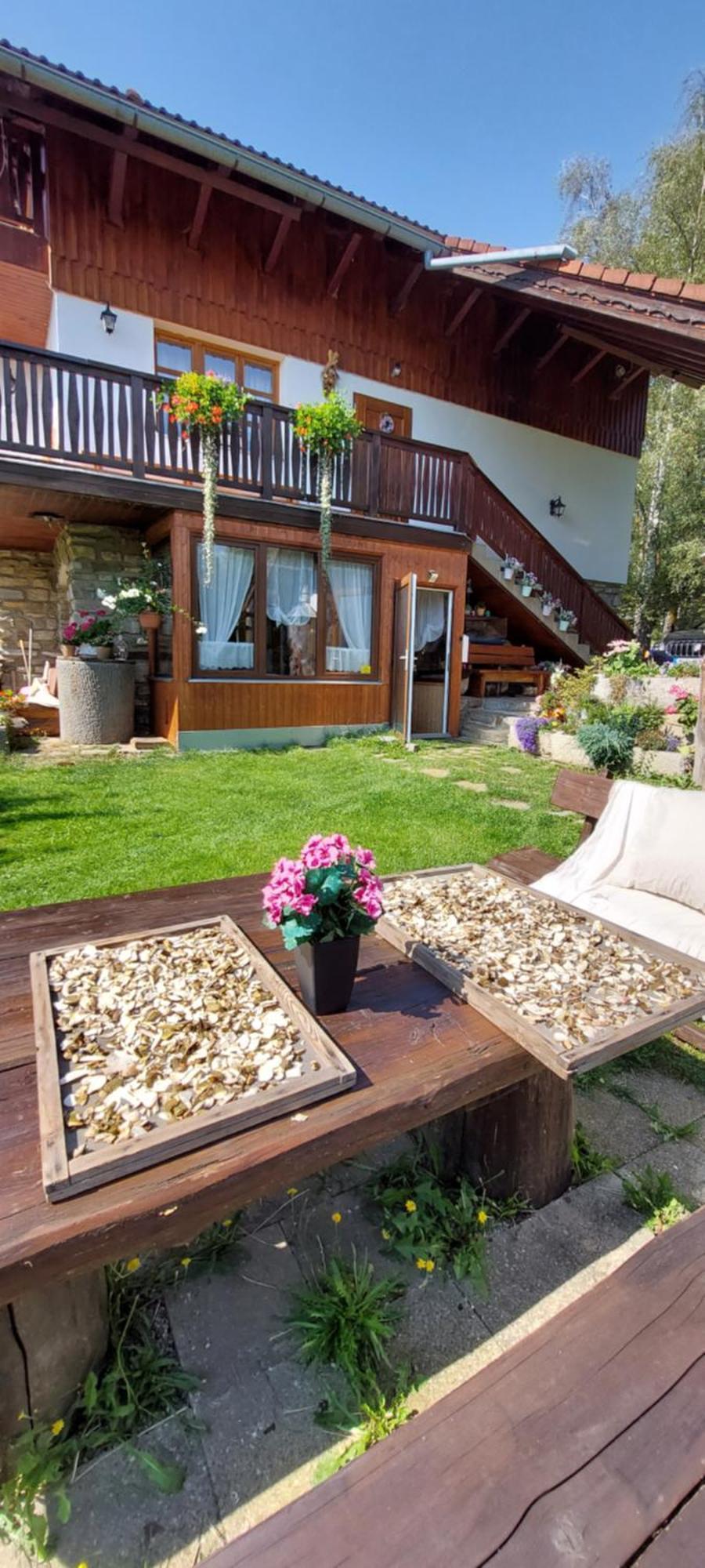 V Sumavskem Dome Apartment